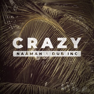 Crazy (feat. Dub Inc)