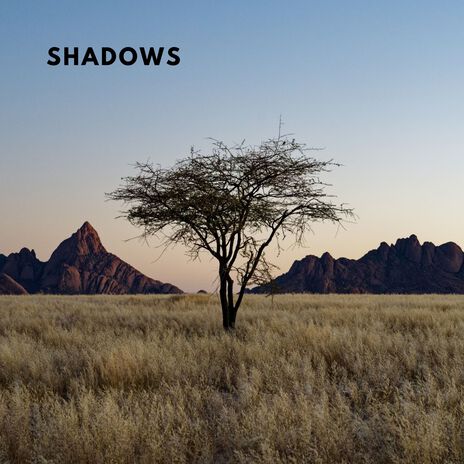 Shadows | Boomplay Music