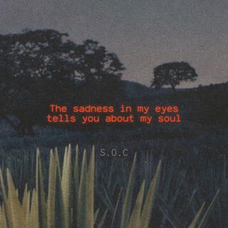 The sadness in my eyes tells you about my soul