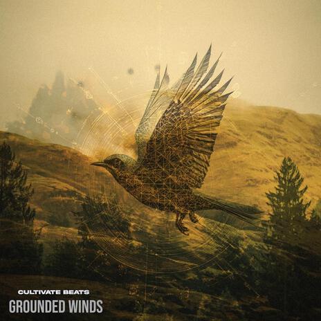 Grounded Winds | Boomplay Music