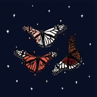 butterflies lyrics | Boomplay Music