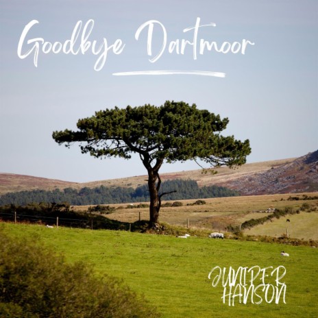 Goodbye Dartmoor | Boomplay Music