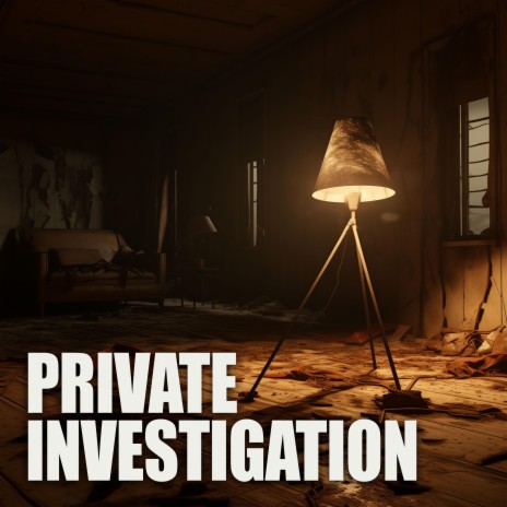 Private Investigation | Boomplay Music