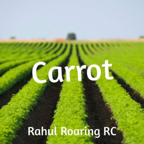 Carrot | Boomplay Music