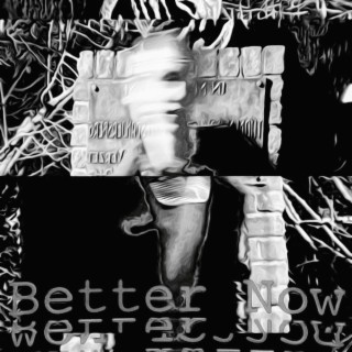 Better Now lyrics | Boomplay Music