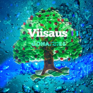 Viisaus