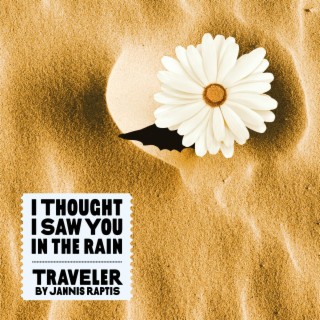 I Thought I Saw You In The Rain lyrics | Boomplay Music