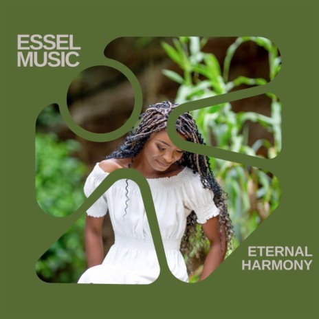 Eternal Harmony | Boomplay Music