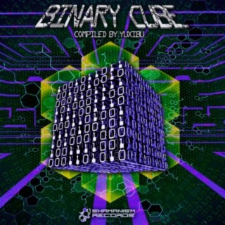 Binary Cube