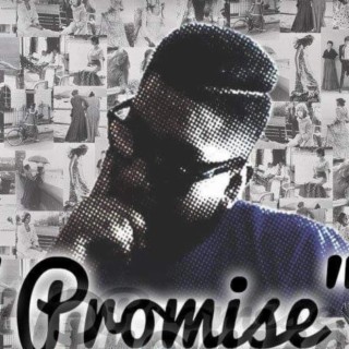 PROMISE (2007)