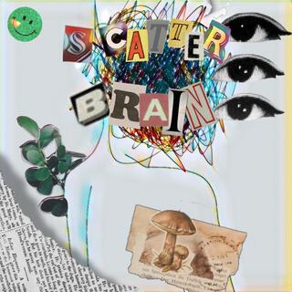 Scatter Brain