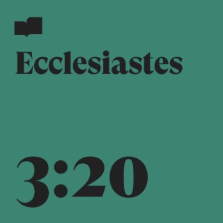 Ecclesiastes 3:20