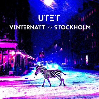 Vinternatt // Stockholm