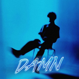 damn lyrics | Boomplay Music