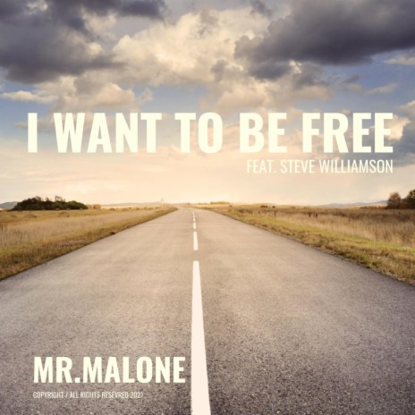 I Want to Be Free (feat. Steve Williamson) | Boomplay Music