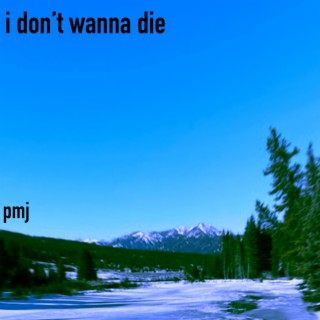 I Don't Wanna Die lyrics | Boomplay Music