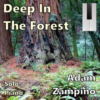 Deep In The Forest