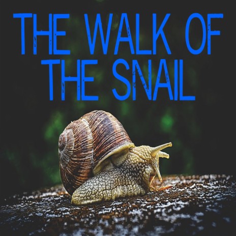 The walk of the snail