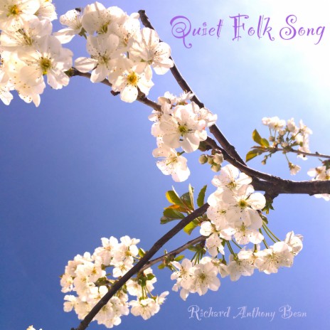 Quiet Folk Song | Boomplay Music