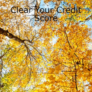Energy Clearing for Life Force Meditation Podcast "Raise Your Credit Score" #307