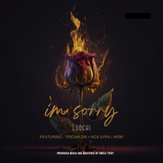 I'M SORRY (Unmastered) ft. Triciah ZM & NCA SYPA lyrics | Boomplay Music