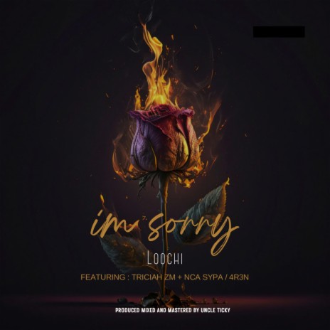 I'M SORRY ft. Triciah ZM & 4R3N | Boomplay Music