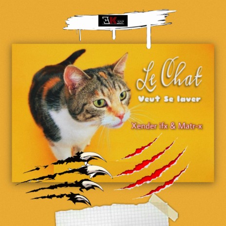 LE CHAT VEUT SE LAVER (feat. Xender ifx) | Boomplay Music