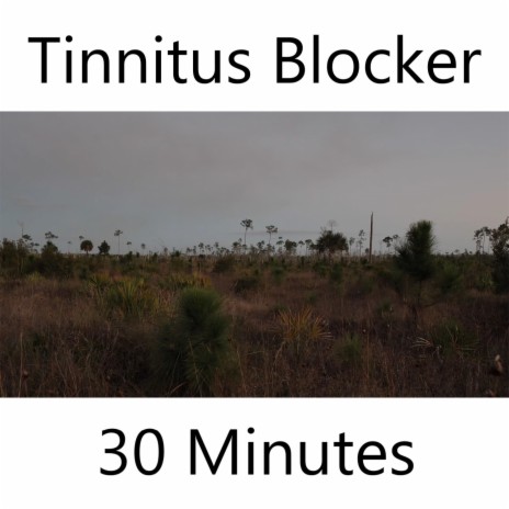 Tinnitus Blocker 30 Minutes of Nature Sounds | Boomplay Music