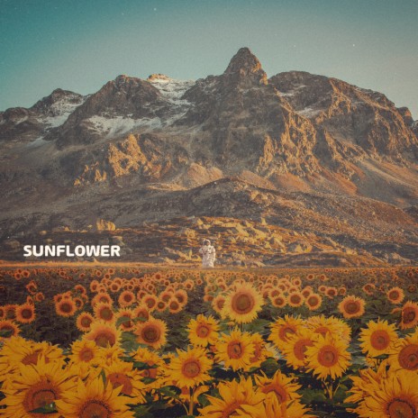 Sunflower | Boomplay Music