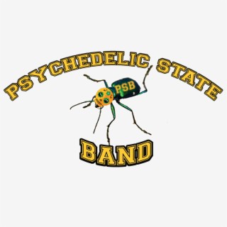 Psychedelic State Band Live