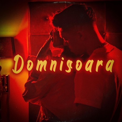 Domnisoara | Boomplay Music