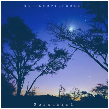 Serengeti Dreams