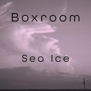 Sea Ice