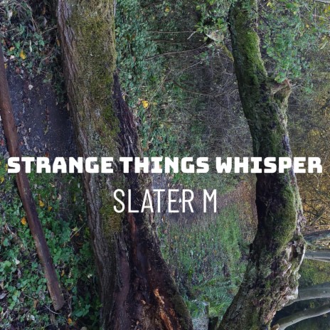 Strange Things Whisper | Boomplay Music