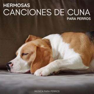 Hermosas Canciones de Cuna para Perros