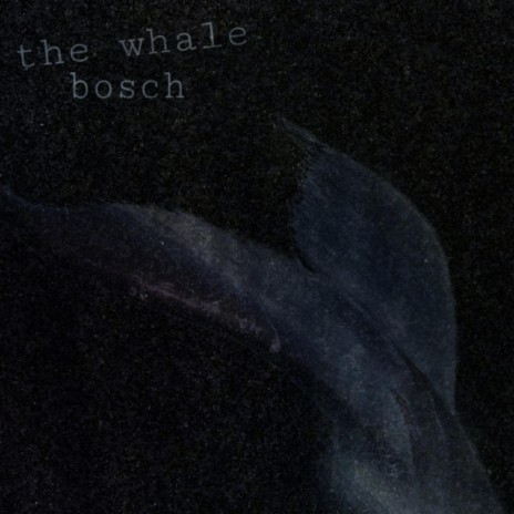 The Whale | Boomplay Music