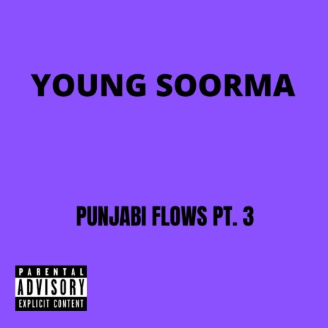 Punjabi Flows, Pt. 3 | Boomplay Music