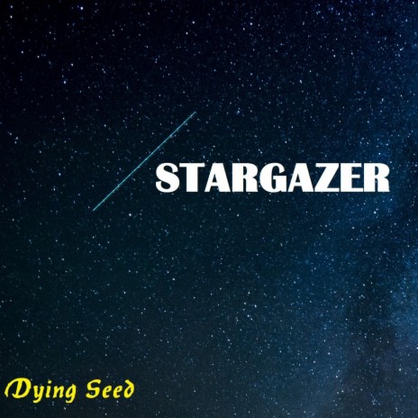 Stargazer | Boomplay Music