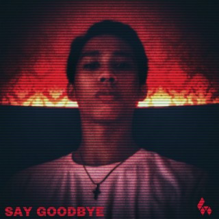 Say Goodbye