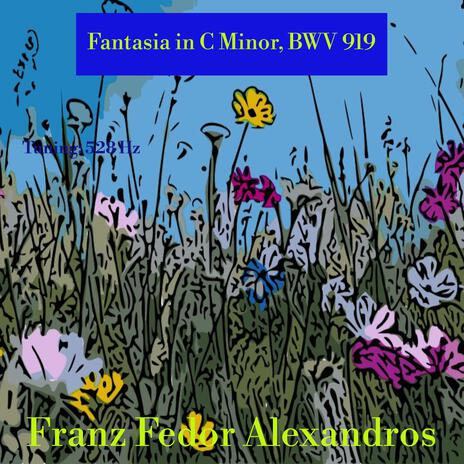 Fantasia in C Minor, BWV 919 | Boomplay Music