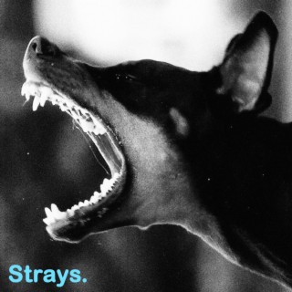 Strays