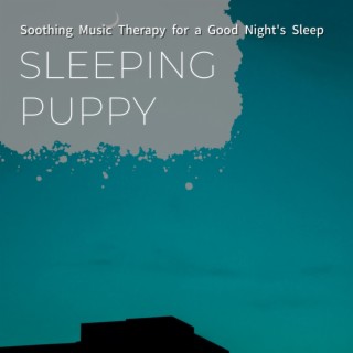 Soothing Music Therapy for a Good Night's Sleep