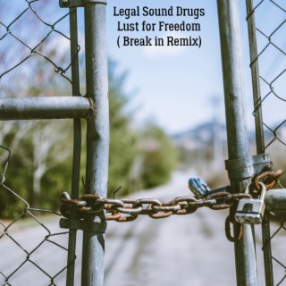 Lust for Freedom(Break in Remix)