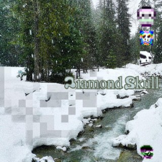 Diamond Skull lyrics | Boomplay Music