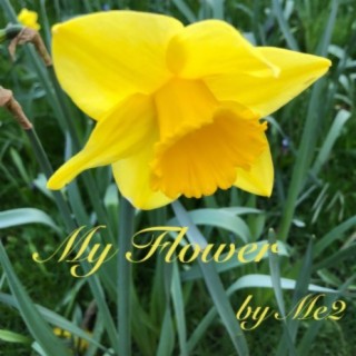 My Flower