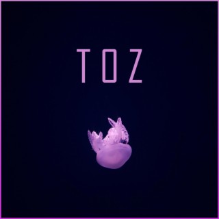 Toz lyrics | Boomplay Music