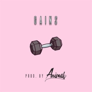 Gains (Instrumental)