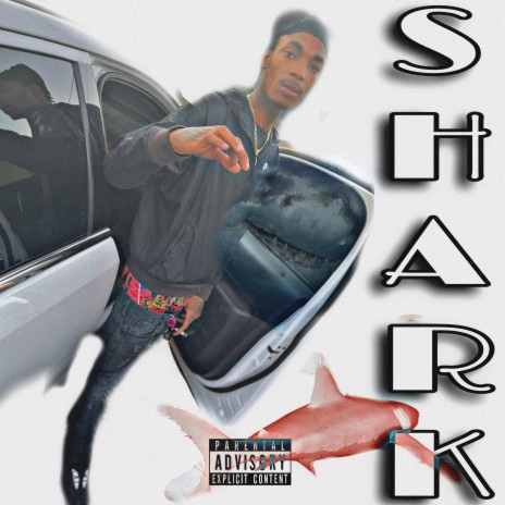 Shark | Boomplay Music