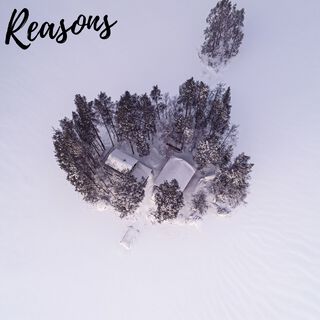 Reasons