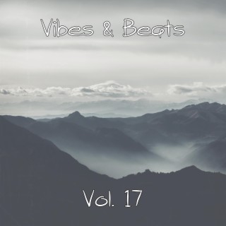 Vibes & Beats, Vol. 17